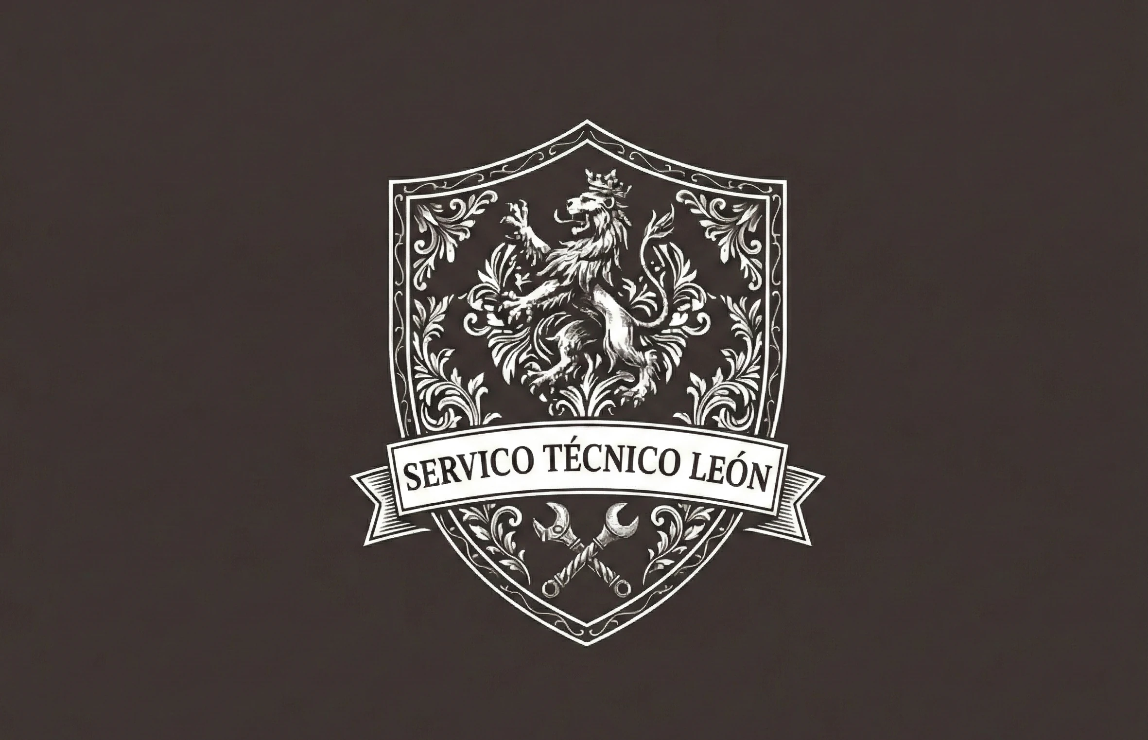 STL Servicio Técnico León